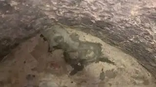 Inside vault where skeleton of real-life giant was found