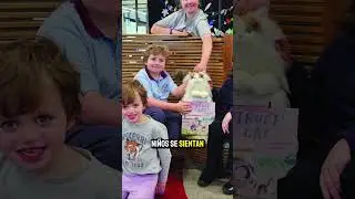 gatos robots
