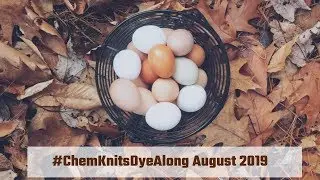 Dye Along with Me! August 2019 #ChemKnitsDyeAlong, LIVE!