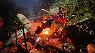 Chicken food good ep2 #chicken 