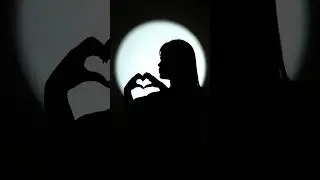 Shoot Creative Masterpieces at Home with Just One Light and Your Phone! | Photoolex 10w  #photoolex