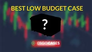 THE MOST PROFITABLE CASE ON CSGOCASES.COM (2023)