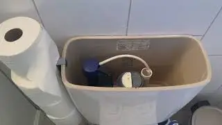 Removing dual flush canister from Member's Mark/Sam's Club dual flush toilet leak fix