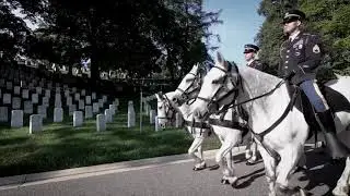 Memorial Day Tribute
