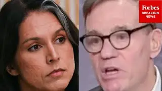 BREAKING NEWS: Mark Warner Demands Tulsi Gabbard Testify In Front Of Senate Over Fulton County Raid