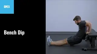 Bench Dip