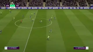 Cardiff  city vs Tottenham Hotspur  1/1/19