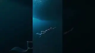 One breath, thousands of sardines, pure magic #mermaid #ocean #divng