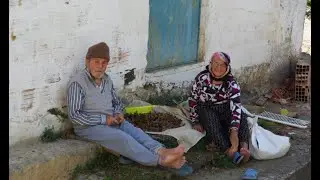 2013  KUZGUN KÖYÜ fotoğraf/video albüm -1