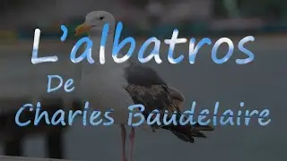 L'Albatros de Charles Baudelaire - po&egrave;me avec les paroles