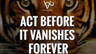 Speech On International Tiger Day