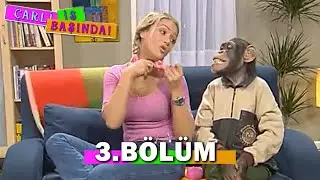 &Ccedil;arli İş Başında 3. B&ouml;l&uuml;m - FULL B&Ouml;L&Uuml;M