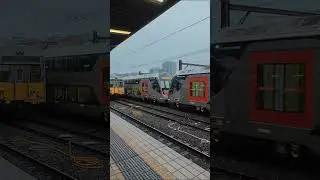 Mariyung D Set Horn + Departure #fyp #recommended #sydneytrains #intercity_train