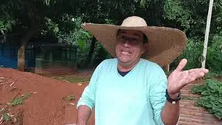 Cómo alimentar peces (Cachamas o tilapias)