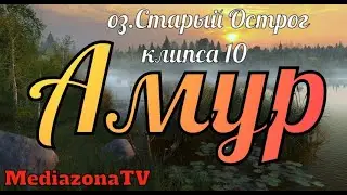 Русская Рыбалка 4 оз Старый Острог Амур 18 06 23
