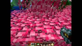Apology Video :)