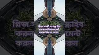 #techtap #nature #sayedmukarrambariwaz #djsong #প্লিজ_এই_চ্যানেলটি_সাবস্ক্রাইব_করুন_ #vlog #love