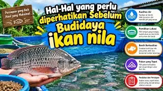 Apa Saja Yang Diperlukan, Untuk Berbudidaya Ikan Nila??