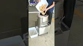 Commercial Potato Peeler-----LOFTY MACHINERY