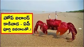 Hope Island - Kakinada - AP - India - ComeTube Exclusive Video