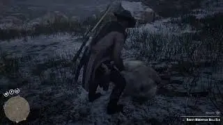 Red Dead Redemption 2....LongliveRell