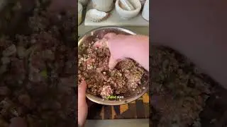 Giant lasagna soup dumpling for the freezer