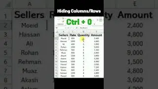 Hiding Columns and Rows in Spreadsheet #exceltutorial #short #exceltips