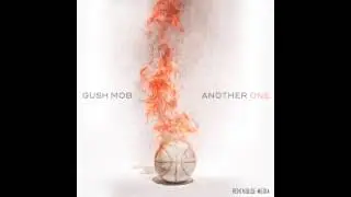 Another One - Gush Mob (OFFICIAL MIAMI HEAT CHAMPIONSHIP SONG 2013) Available on iTunes