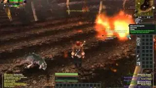 Human Hunter Leveling