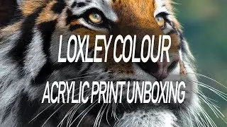 Loxley Colour acrylic print unboxing - 4k
