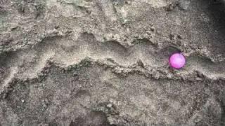 Beach pinball
