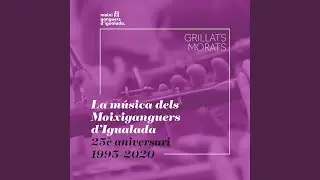 Toc de gralla per acompanyar el petit de l&rsquo;espadat a un balc&oacute;