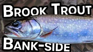Bank fishing brookies in a Provincial Park