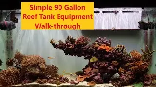 Simple 90 Gallon Reef Tank Equipment Walk-through