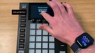 Wolfmix-W1 aktivieren