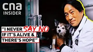 This Vet Is A &lsquo;Last Resort&rsquo; For Seriously Ill Pets