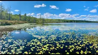 Lake Lacawac 🌿 A Day at Northeast Pennsylvania's Pristine Glacial Lake 🐸