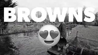 NORTHBROOK Fishery | BROWN TROUT | #shorts  #fishing #flyfisherman #browntroutfishing  @RiksFishing