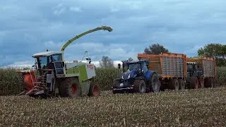 🌽 Maishakselen en inkuilen bij Familie van Eek | Door Loonbedrijf Pannekoek | Fendt vastgereden 🌽