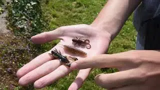 Street fishing : 4 techniques de p&ecirc;che avec les jeunes de Limoges
