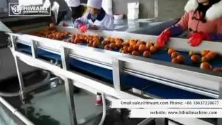 Orange Citrus Juice Peeling Processing Line