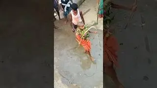 patua jatara