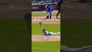 What A CRAZY Catch!