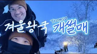 노르웨이 트롬쇠에서 개썰매 타봤더니… ❄️ 북극권 겨울