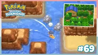 Clearing Route 219, 220, 222 Below Sandgem Town To Ramanas Park In Pokemon Brilliant Diamond #69