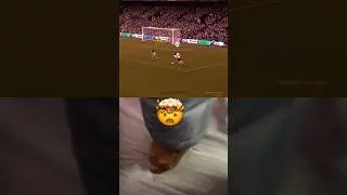 3 pass goal🤯