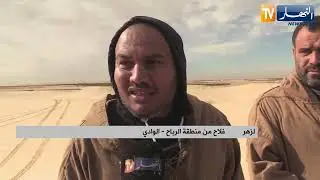 الوادي: طموح شباب للاستثمار الفلاحي رهن الاسراع في تسوية العقار الفلاحي