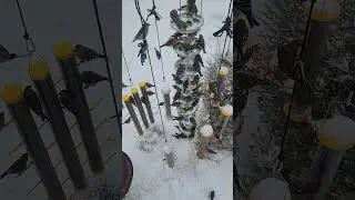 Prototype MARK: 1 Enterprise Level 72X American Goldfinch Vertical Array Seed Conveyor
