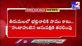 తిరుమలలో భక్తురాలికి పాము కాటు.. హుటాహుటిన ఆసుపత్రికి తరలింపు | Breaking News | Tv2 News