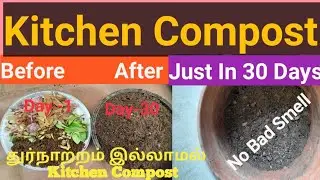 No1 Kitchen Compost Ready l Just 30 days l  No Bad Smell I துர்நாற்றம் இல்லாத kitchen Compost Ready